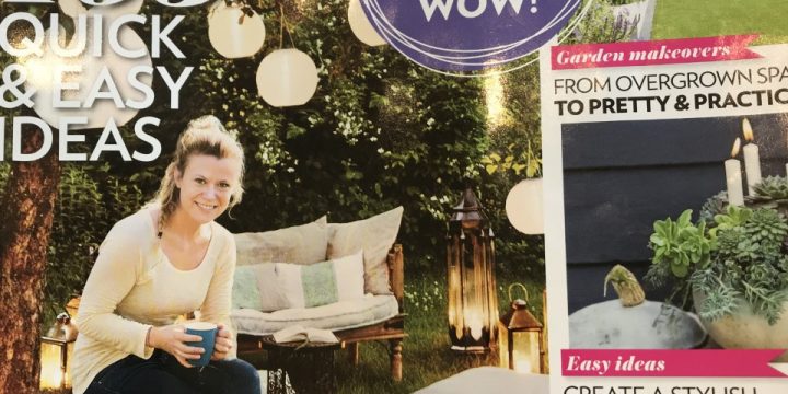 Modern Garden Magazine Advert for Illuminating Gardens